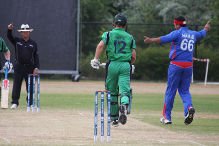 That's out says Brian Jerling (©CricketEurope)