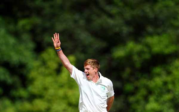 Delight for Young as he takes a wicket (©Cathal Noonan/Inpho)