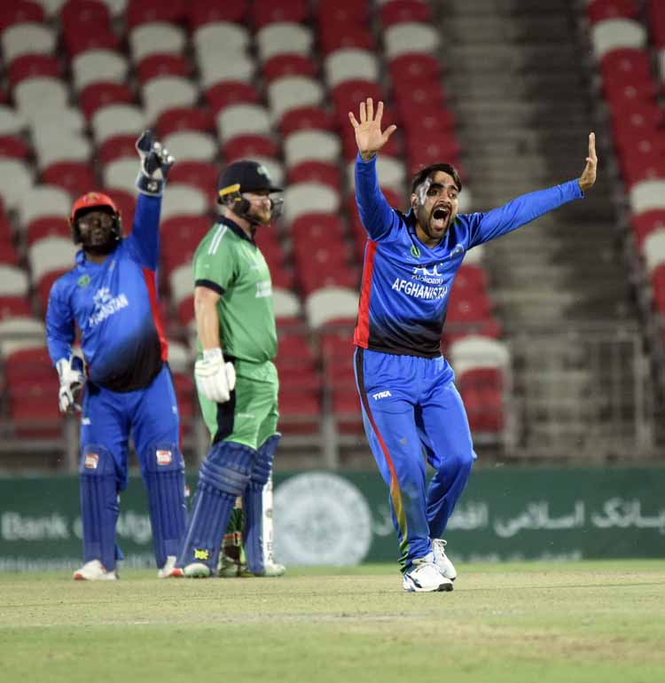 Rashid Khan appeals (©Afghanistan Cricket Board)