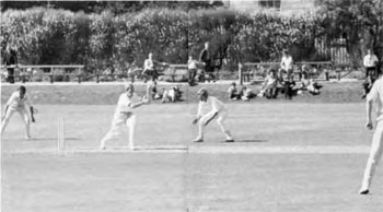 Batting in College Park 1973