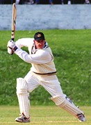 Ted Williamson