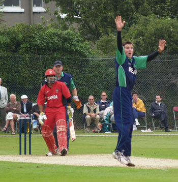 Kyle McCallan appeals for lbw (©CricketEurope)